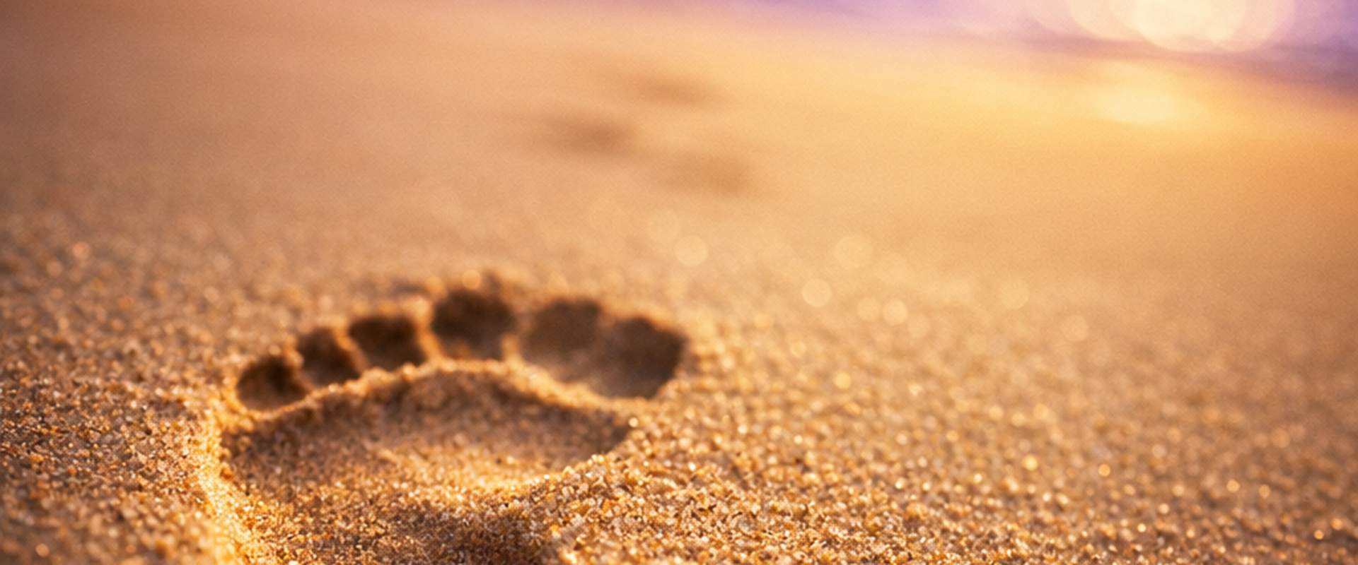 Take the first step toward mental wellness