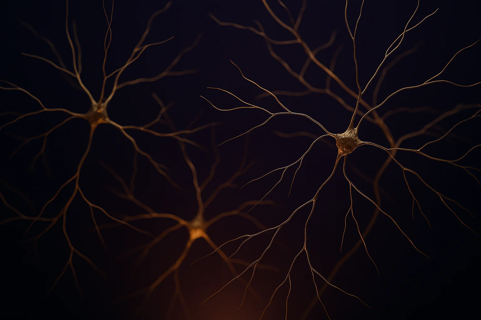 Schizophrenia & Psychotic Disorders Treatment